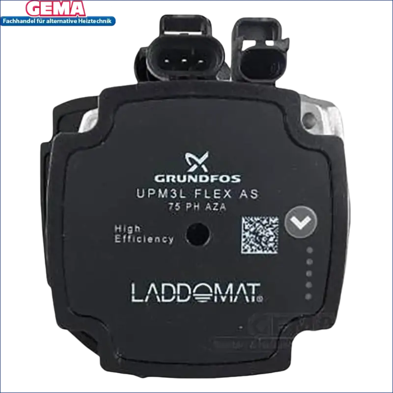 Schwarze Grundfos Kreislaufpumpe für Laddomat Ersatzpumpenkopf